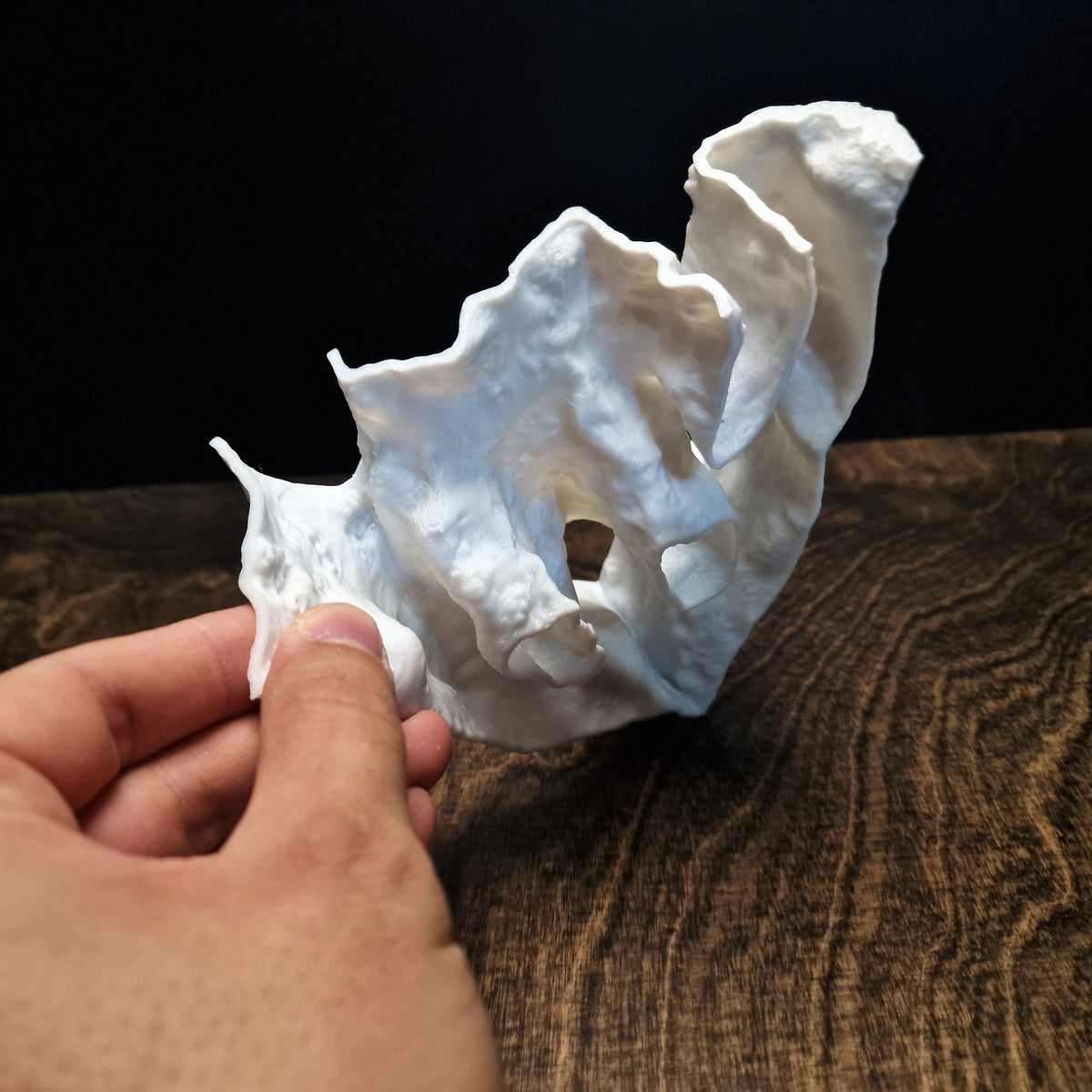 Dune Cove Aquarium Cave & Shrimp Shelter – 3D-Printed Fish Hide