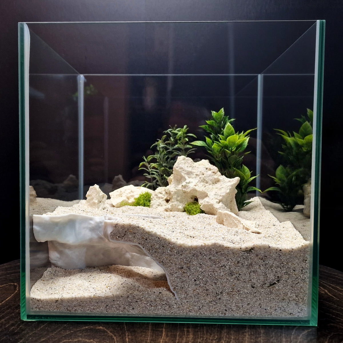 Dune Tide Aquarium Tunnel & Aquascape Hardscape – 3D-Printed Fish Hide