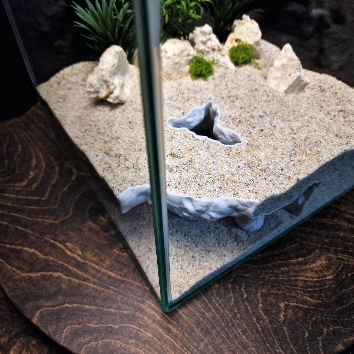 Tide Mesa Pleco Cave & Aquarium Tunnel – 3D-Printed Fish Hide