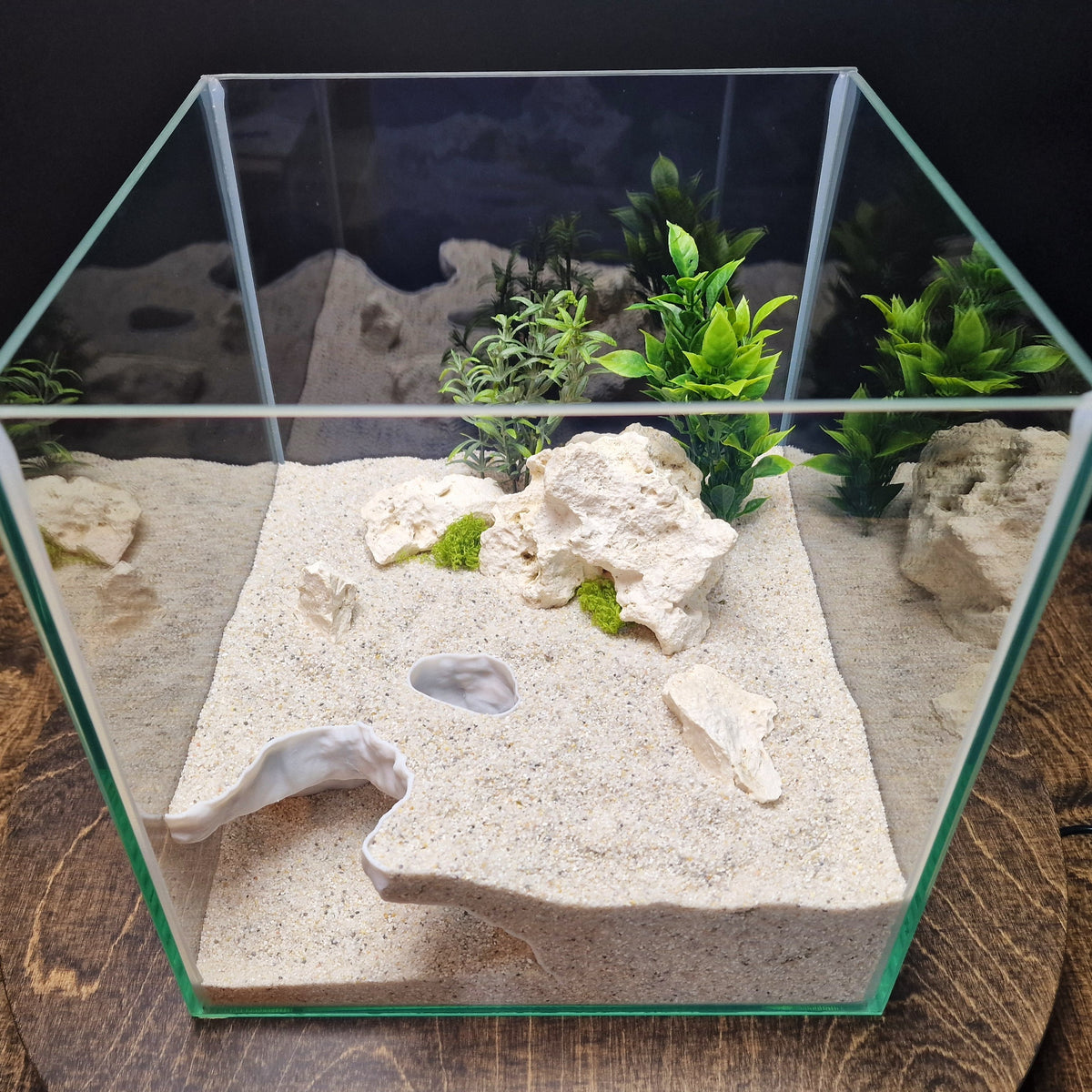 Dune Tide Aquarium Tunnel & Aquascape Hardscape – 3D-Printed Fish Hide