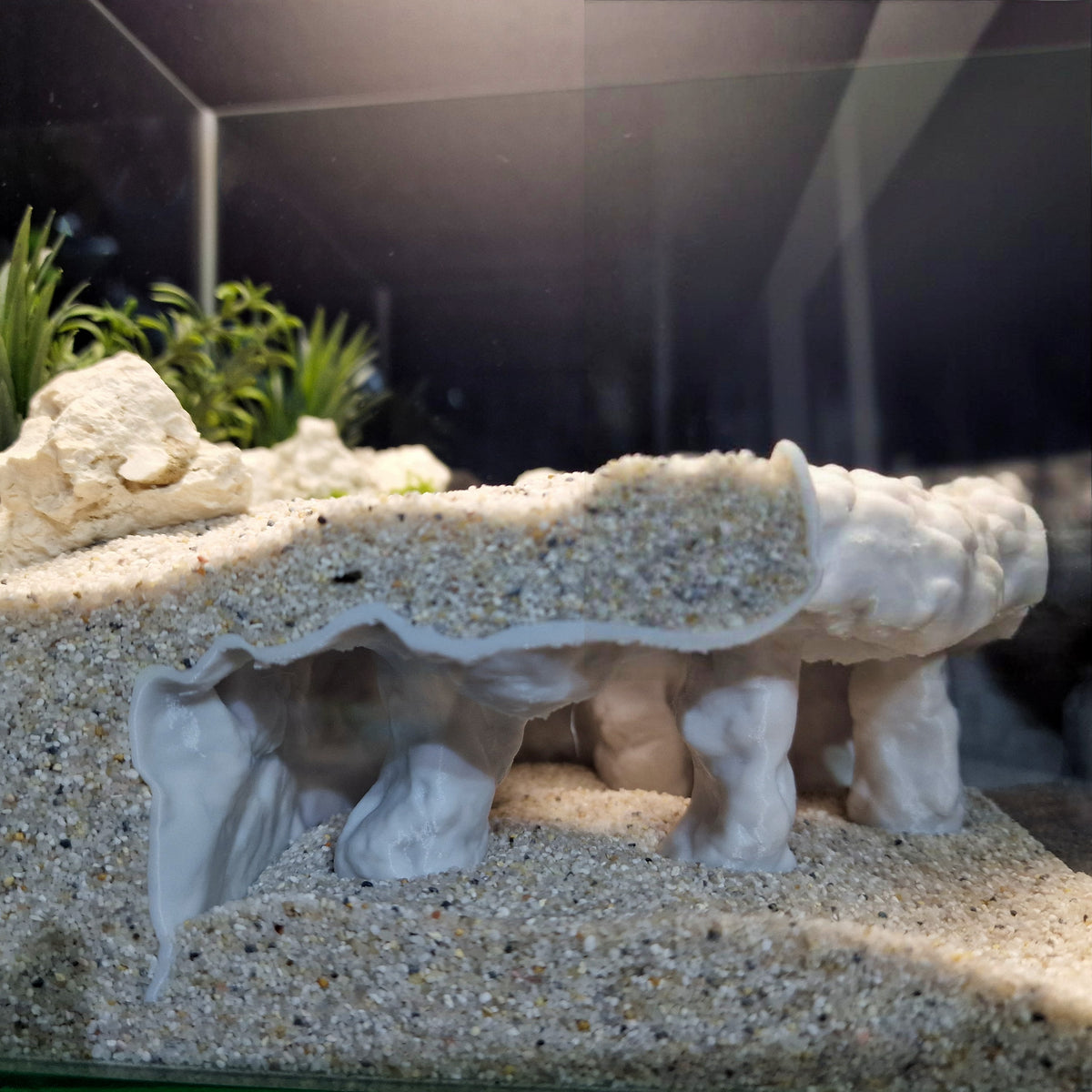 Tide Mesa Pleco Cave & Aquarium Tunnel – 3D-Printed Fish Hide