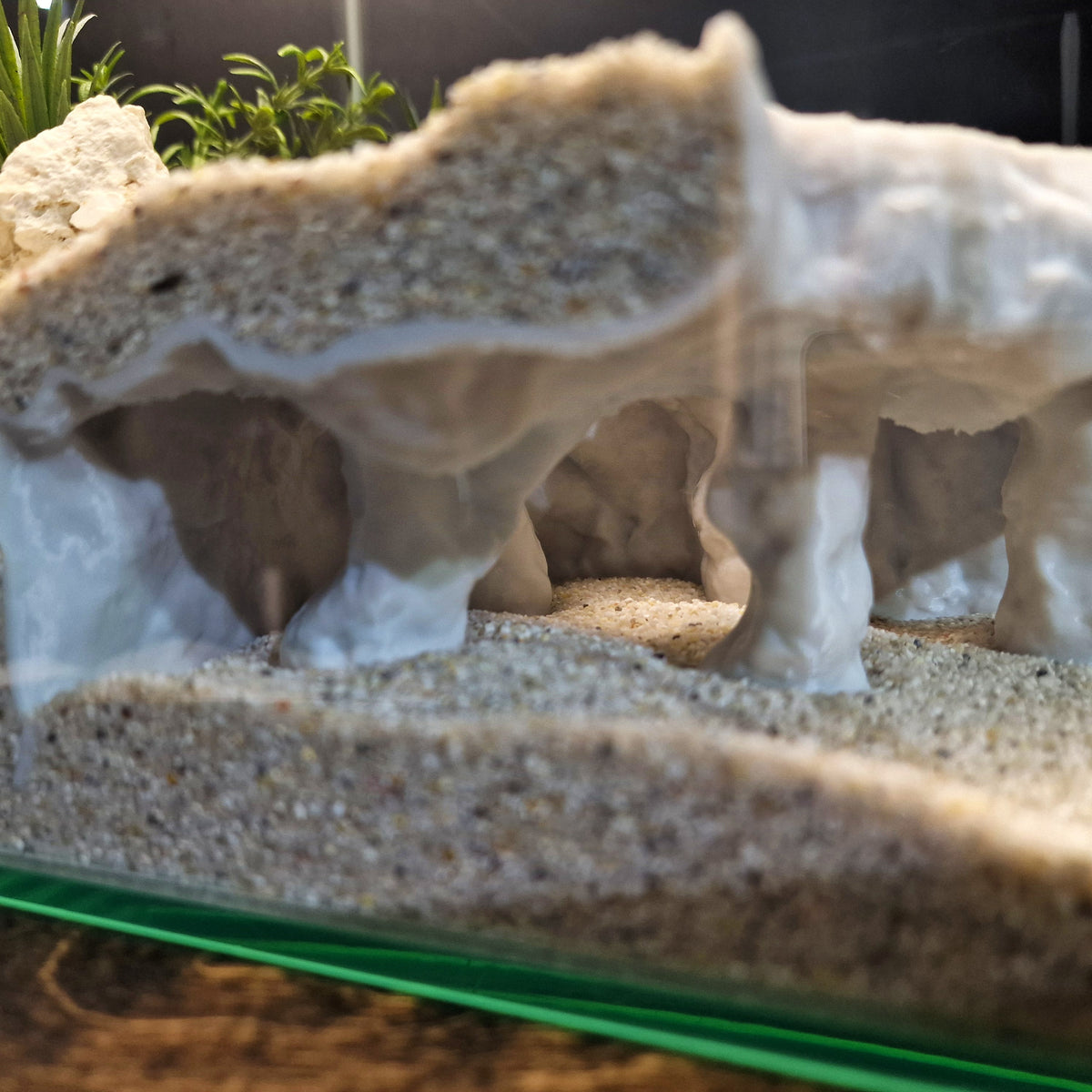 Tide Mesa Pleco Cave & Aquarium Tunnel – 3D-Printed Fish Hide