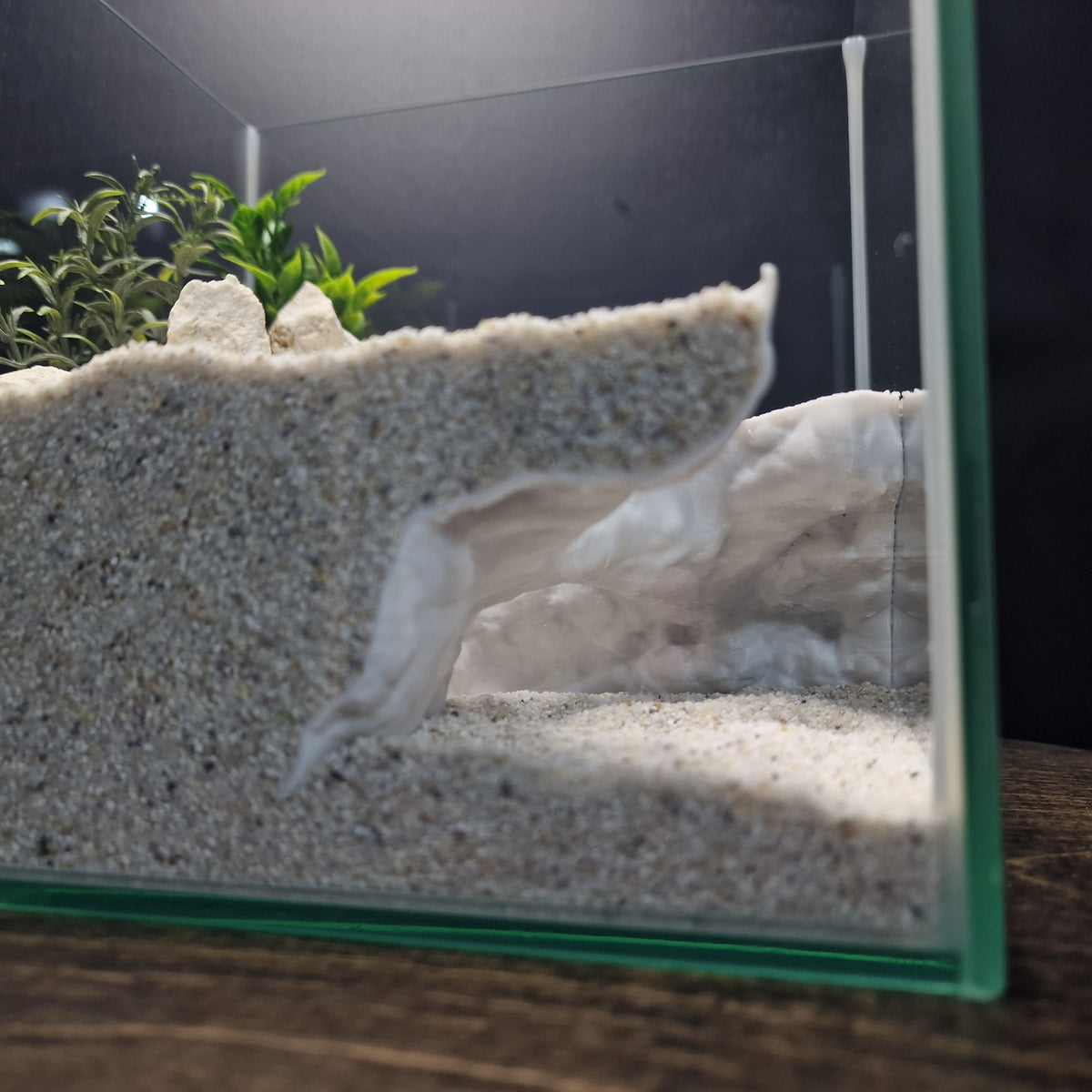 Dune Tide Aquarium Tunnel & Aquascape Hardscape – 3D-Printed Fish Hide