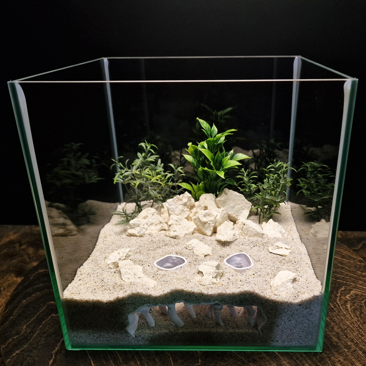 Coral Chamber view 007 6