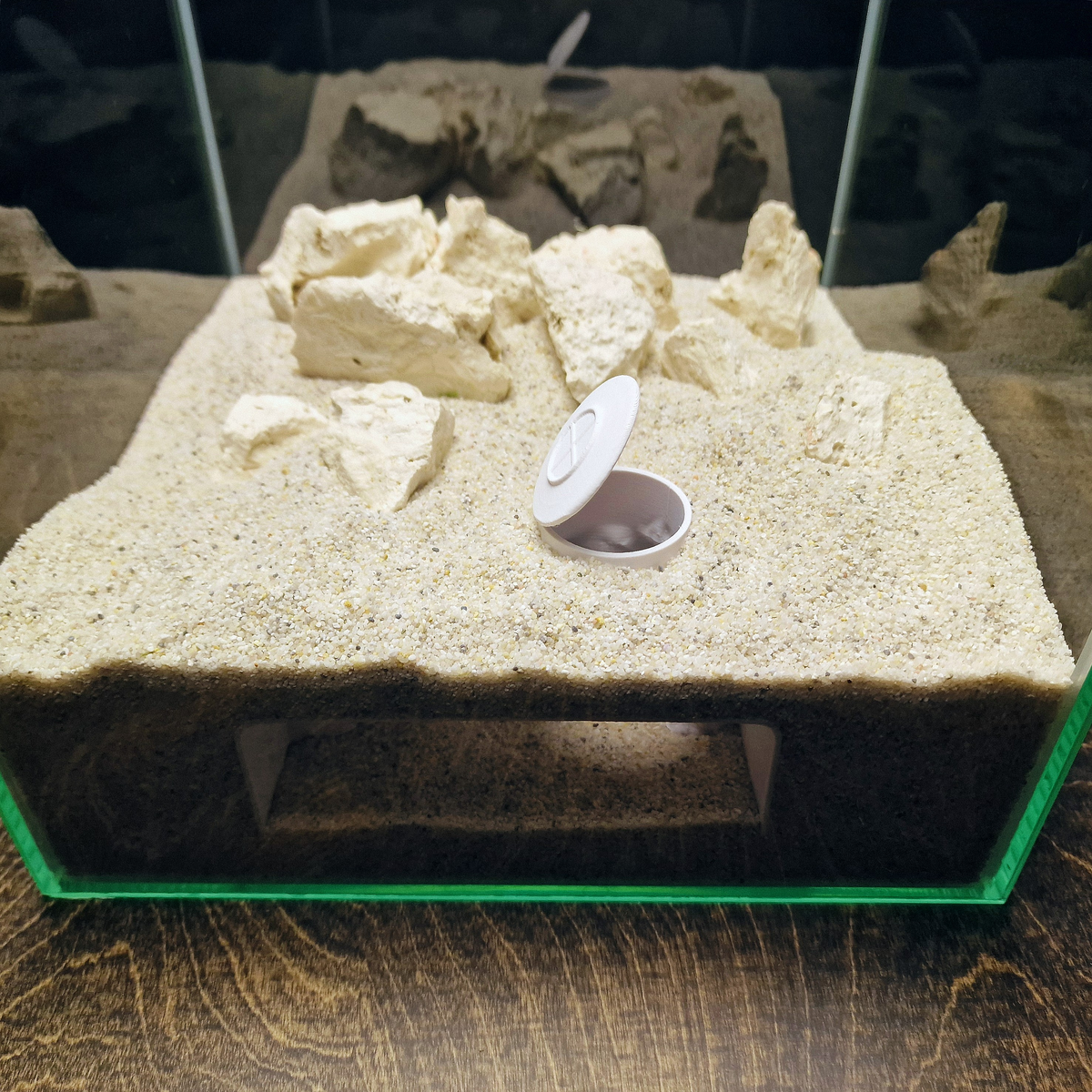 Bunker view 005 2