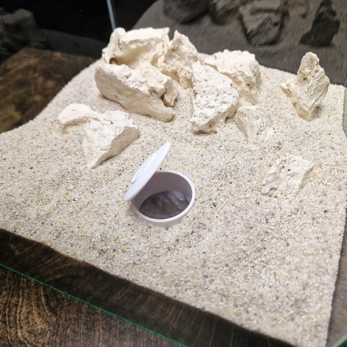 Bunker view 006 3