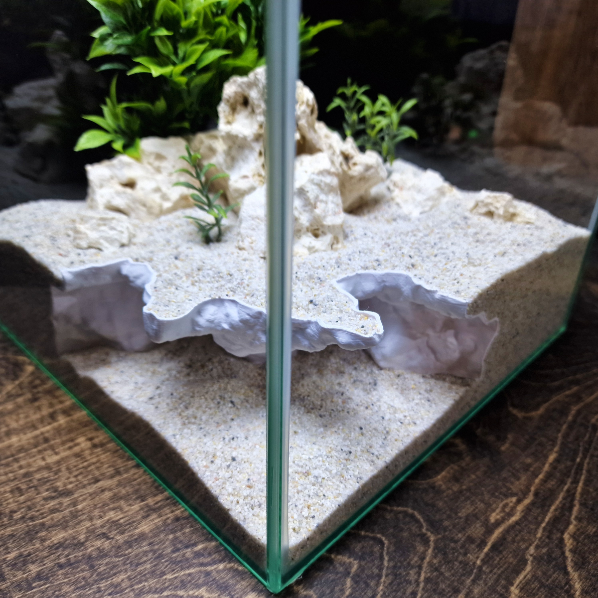 AquaVault Aquarium Cave — source 006 4