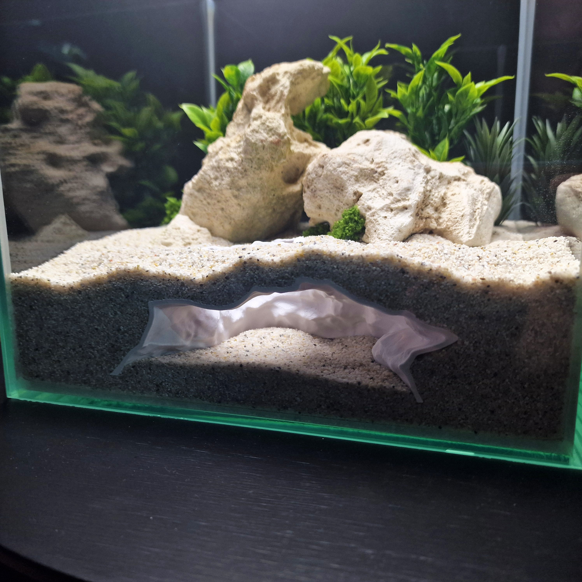 Aquaform Den aquarium habitat view 4