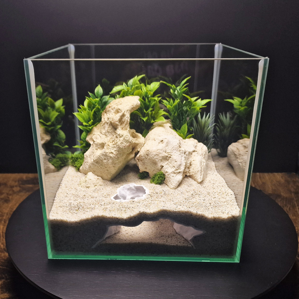 Aquaform Den aquarium habitat view 6