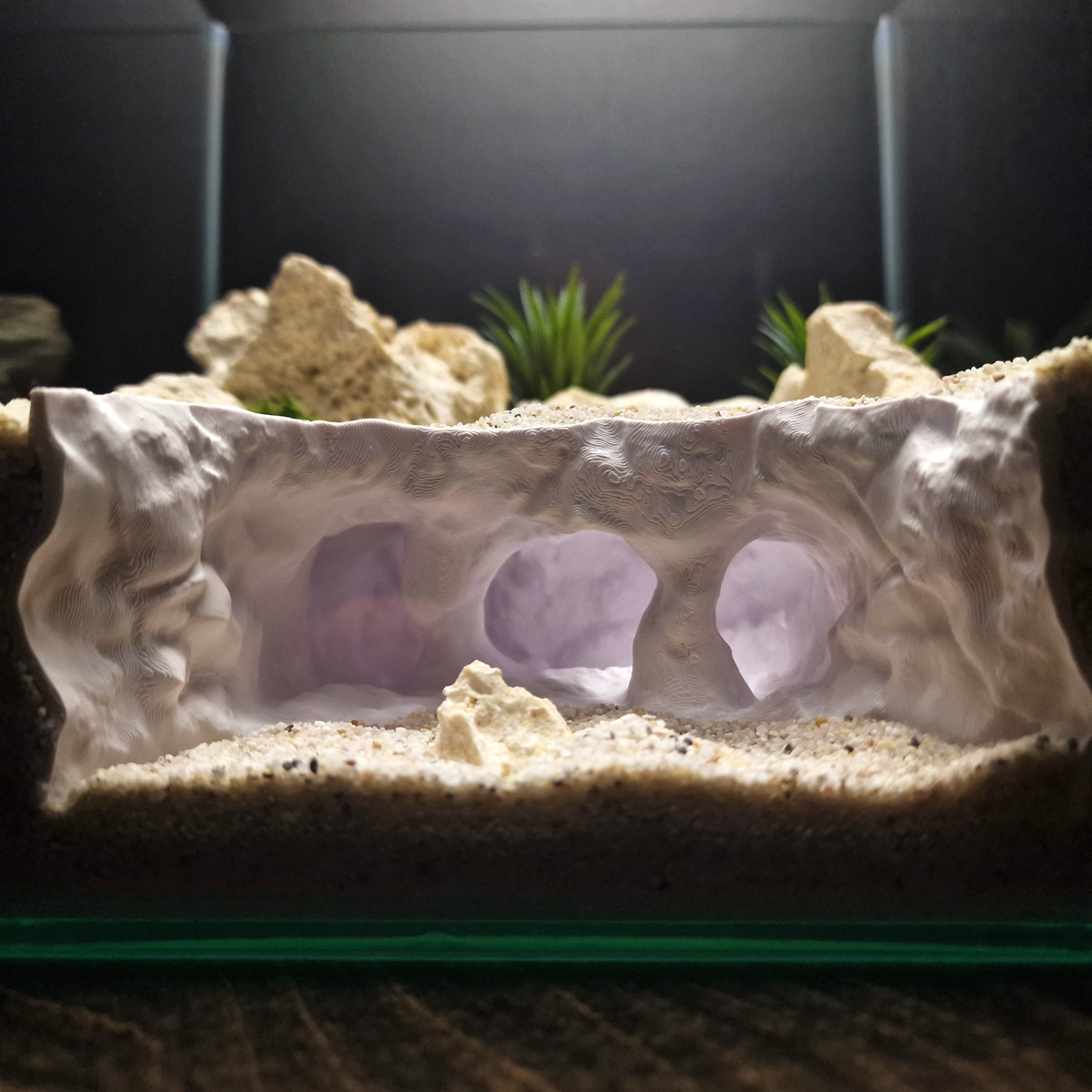 Atlantis Crest source 004 2