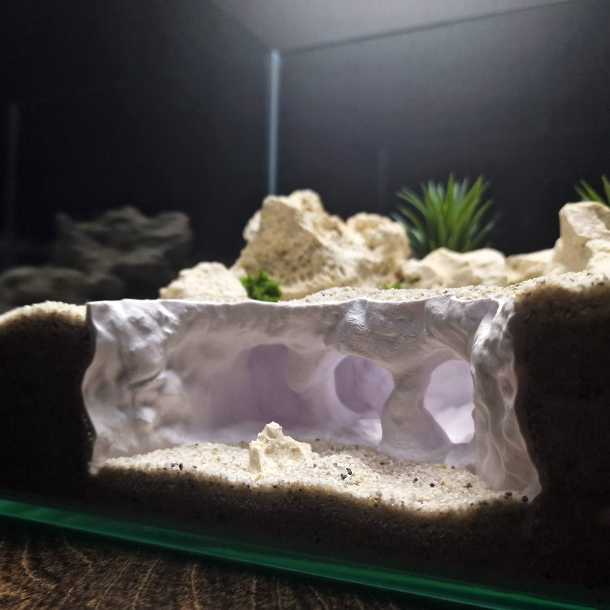 Atlantis Crest source 008 6