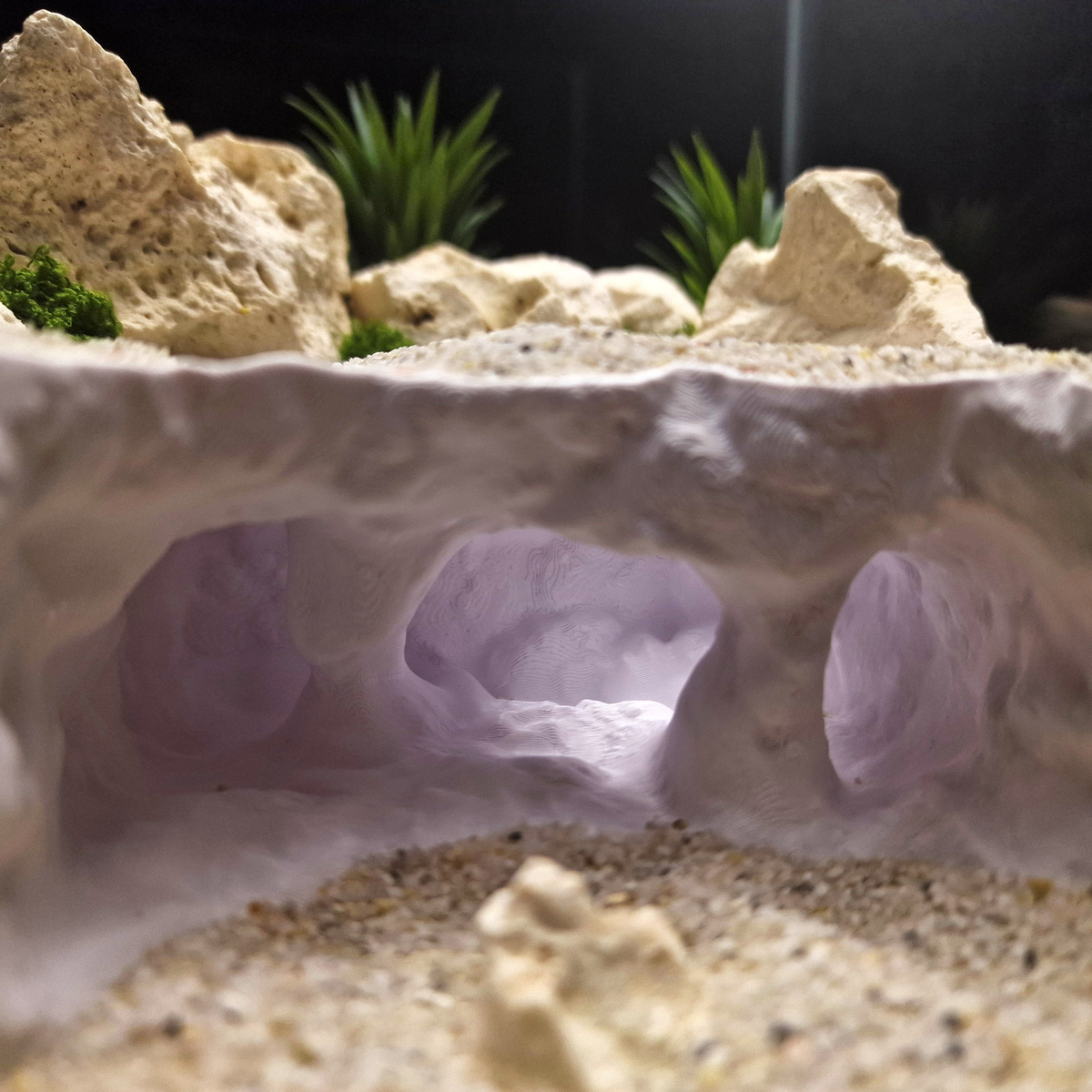 Atlantis Crest source 009 7