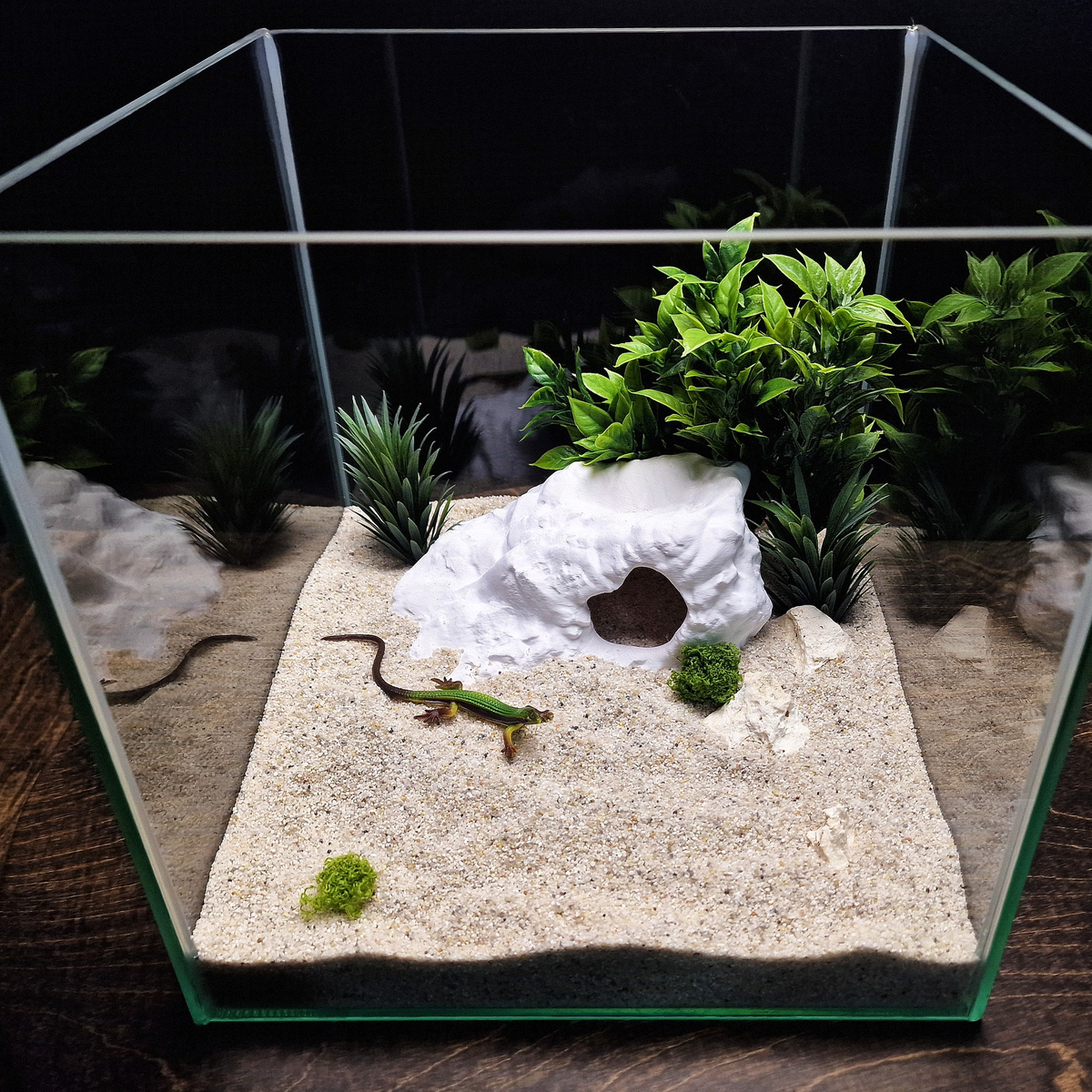 Brackish Den aquarium habitat view 2