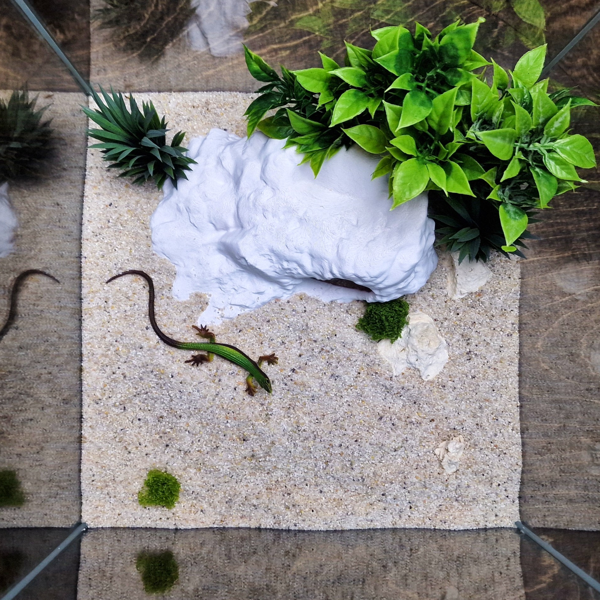 Brackish Den aquarium habitat view 8