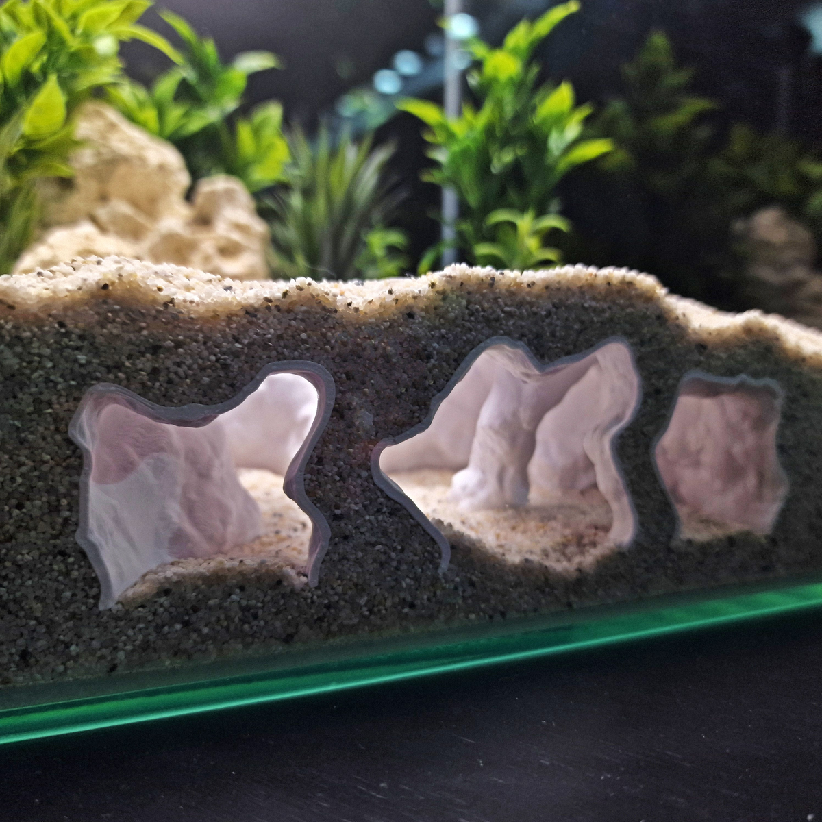 Catacomb Hollow aquarium habitat view 2