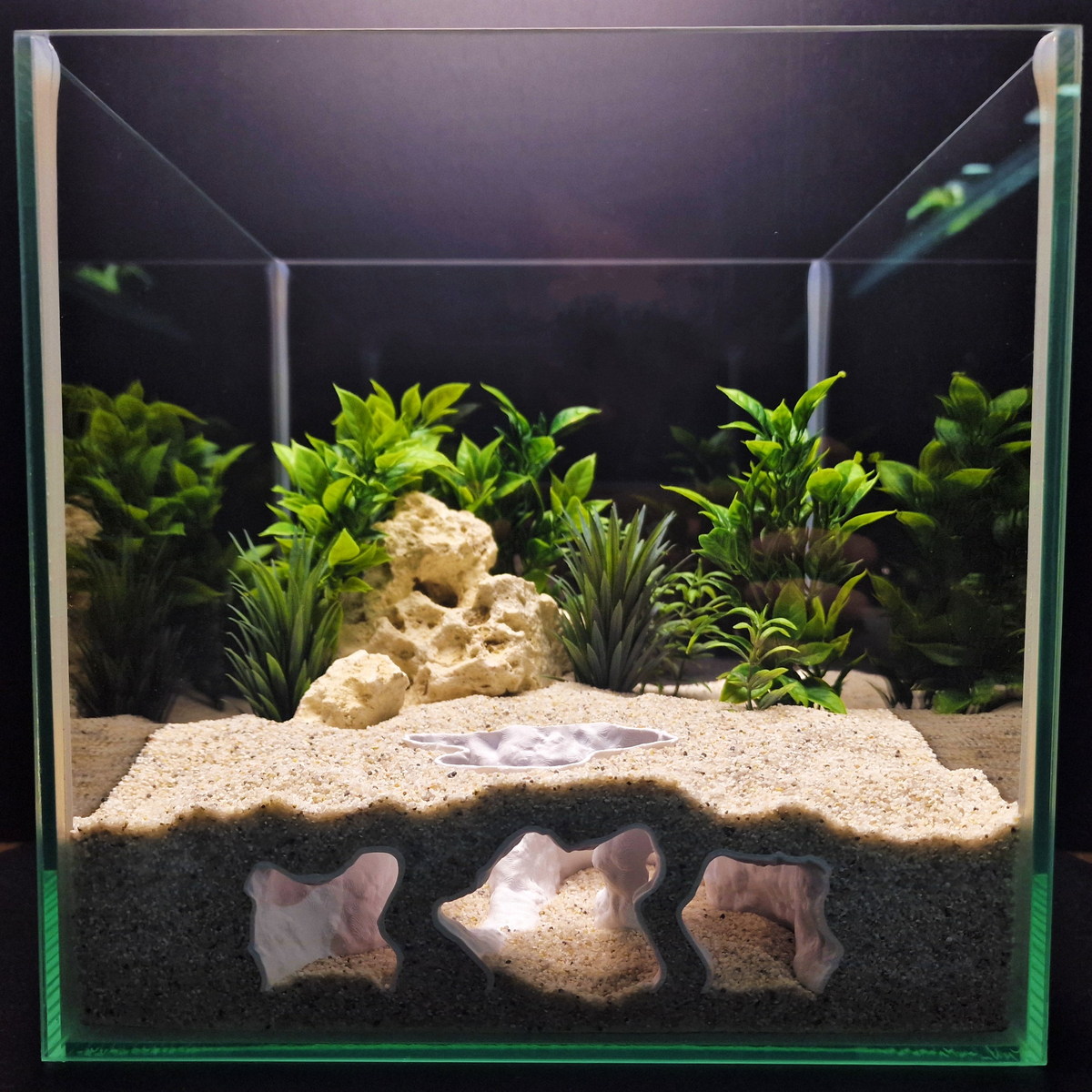 Catacomb Hollow aquarium habitat view 9