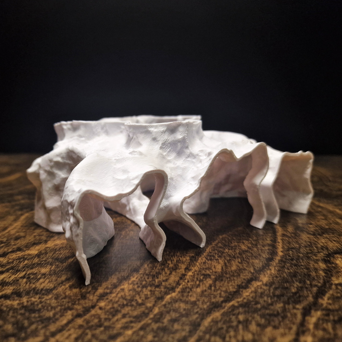 Catacomb Hollow aquarium habitat view 10