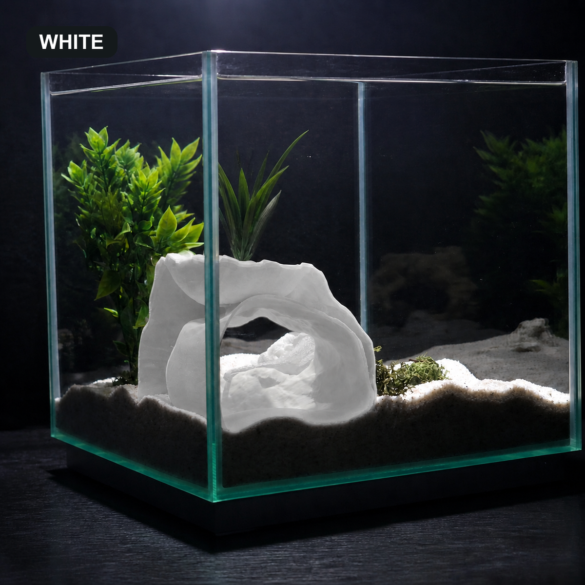 Cave 1 aquarium habitat view 12