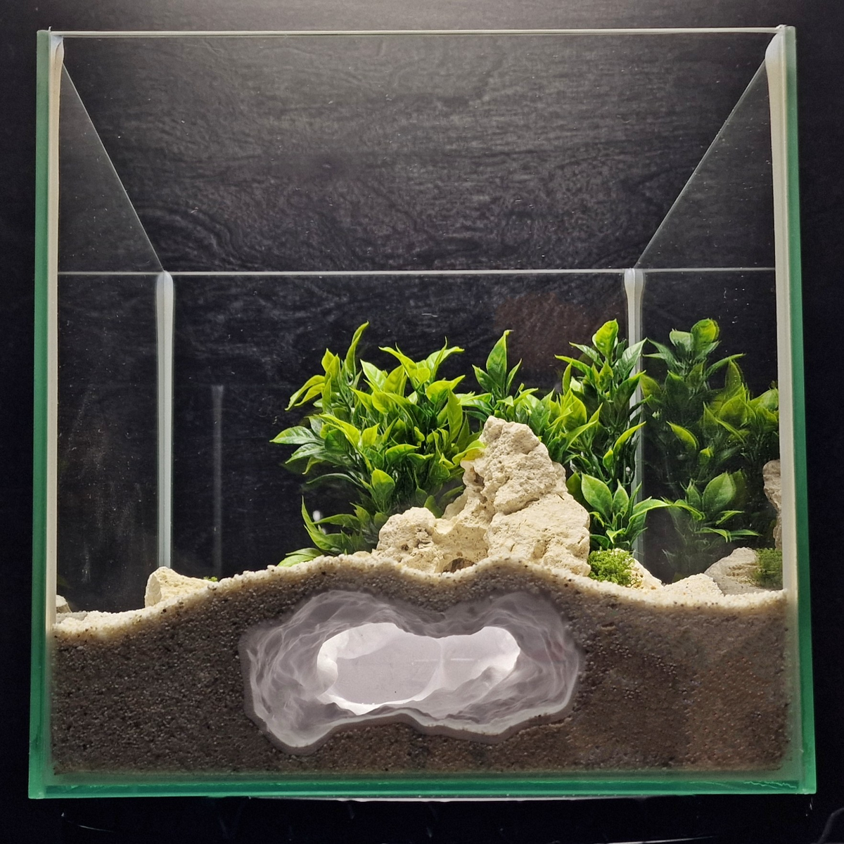 Cave 12 aquarium habitat view 2