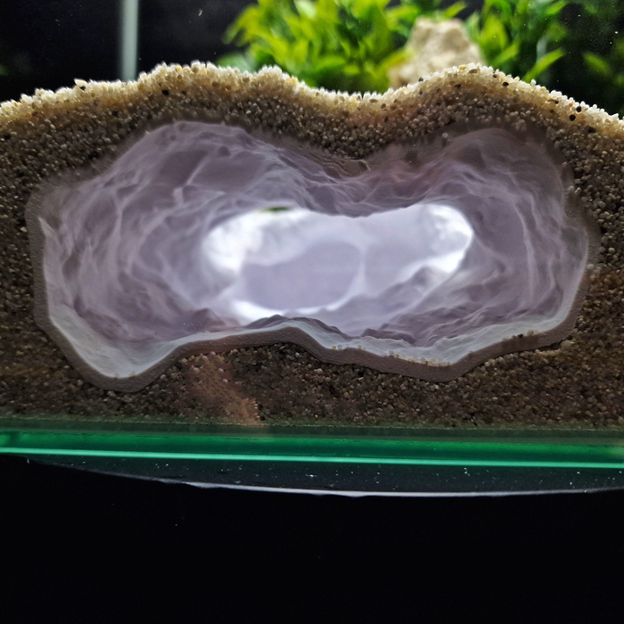 Cave 12 aquarium habitat view 4