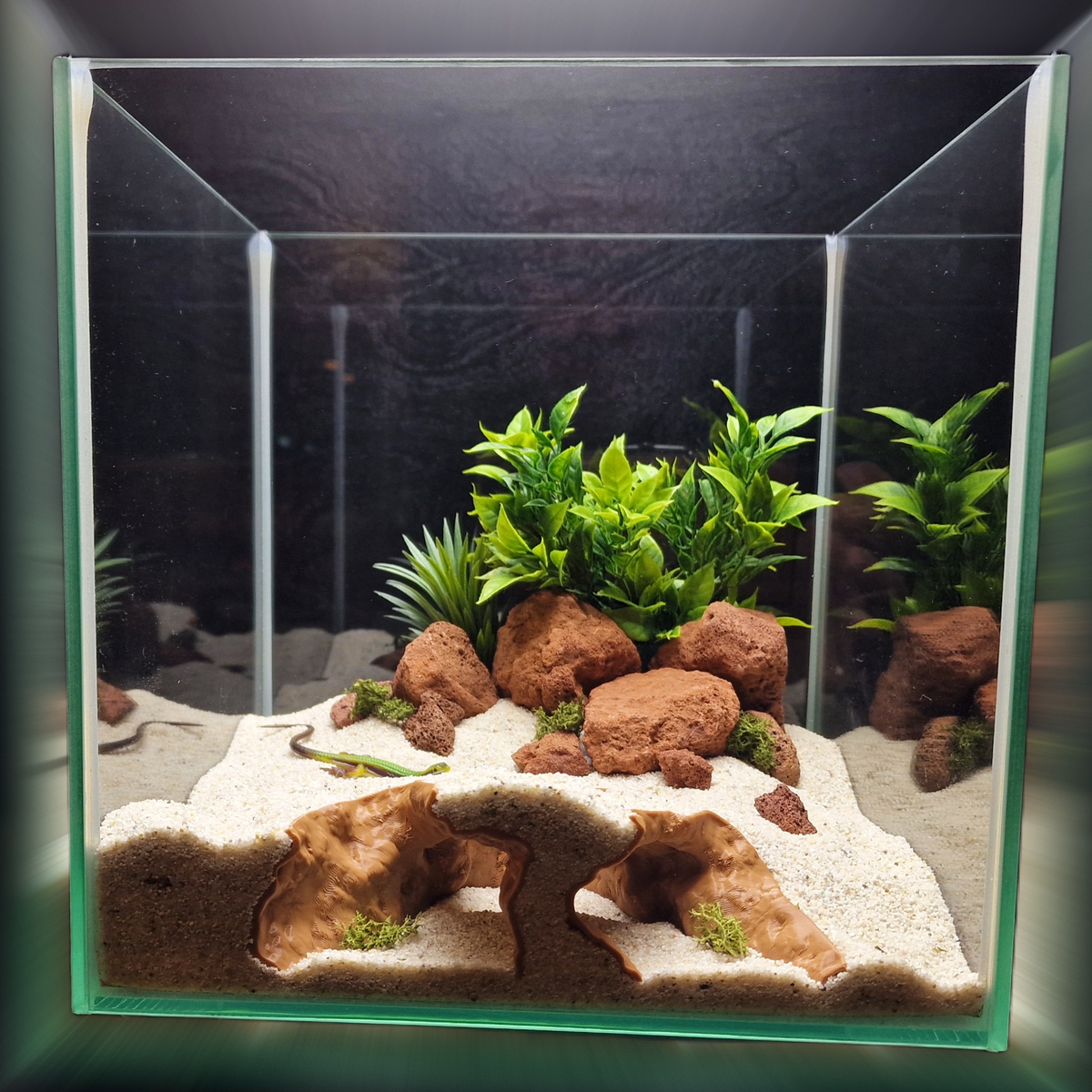 Cave 13 aquarium habitat view 3