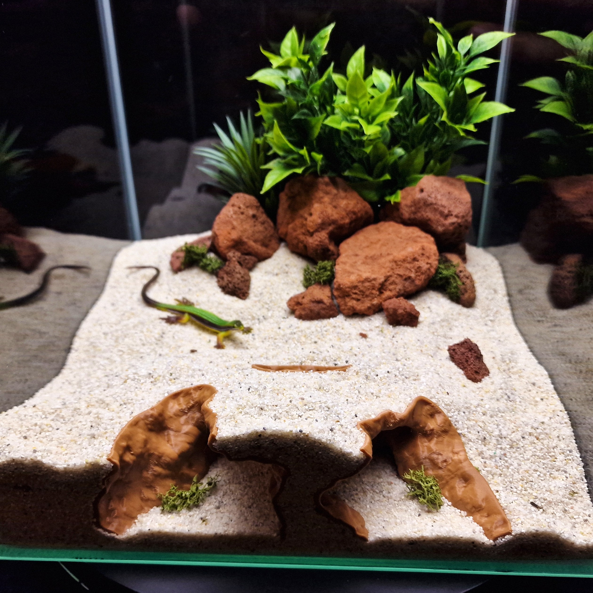 Cave 13 aquarium habitat view 5