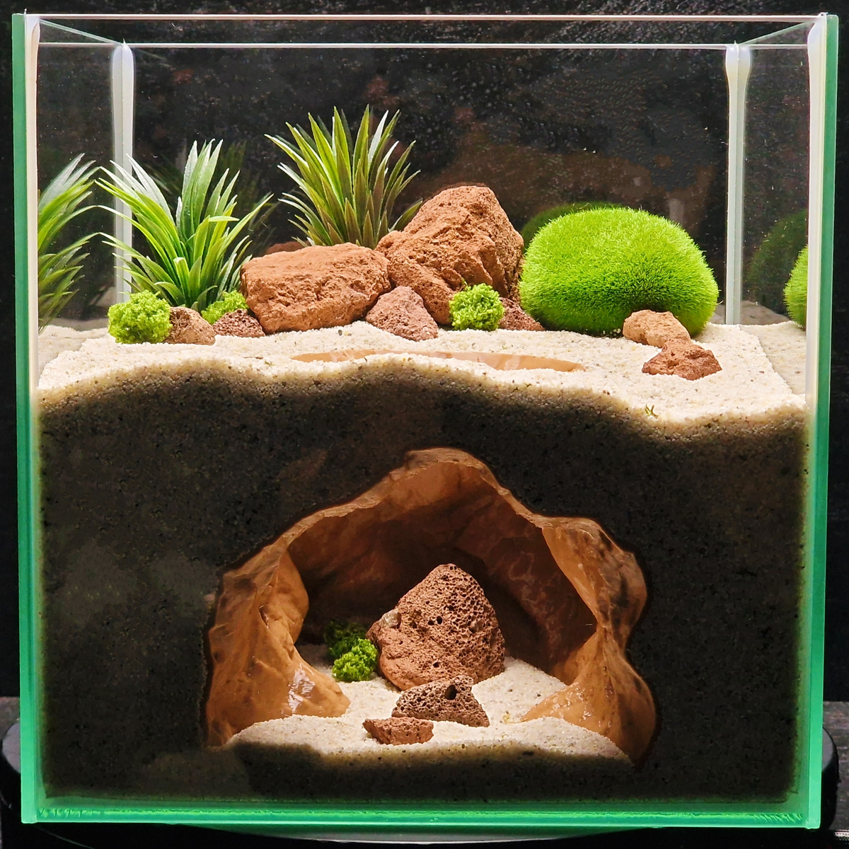 Cave 15 aquarium habitat view 4