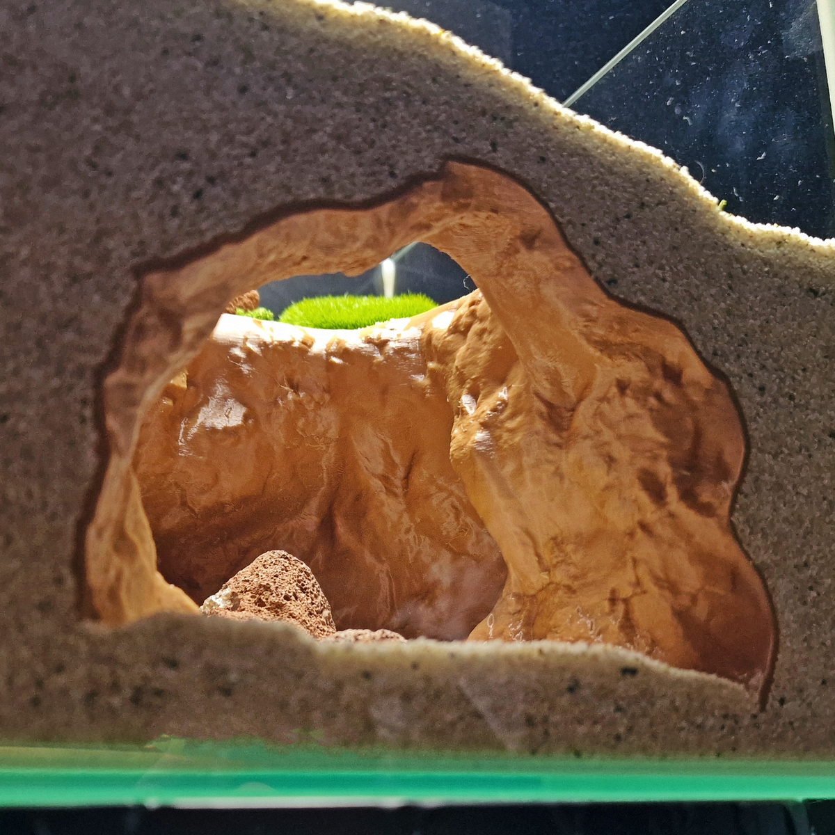 Cave 15 aquarium habitat view 10
