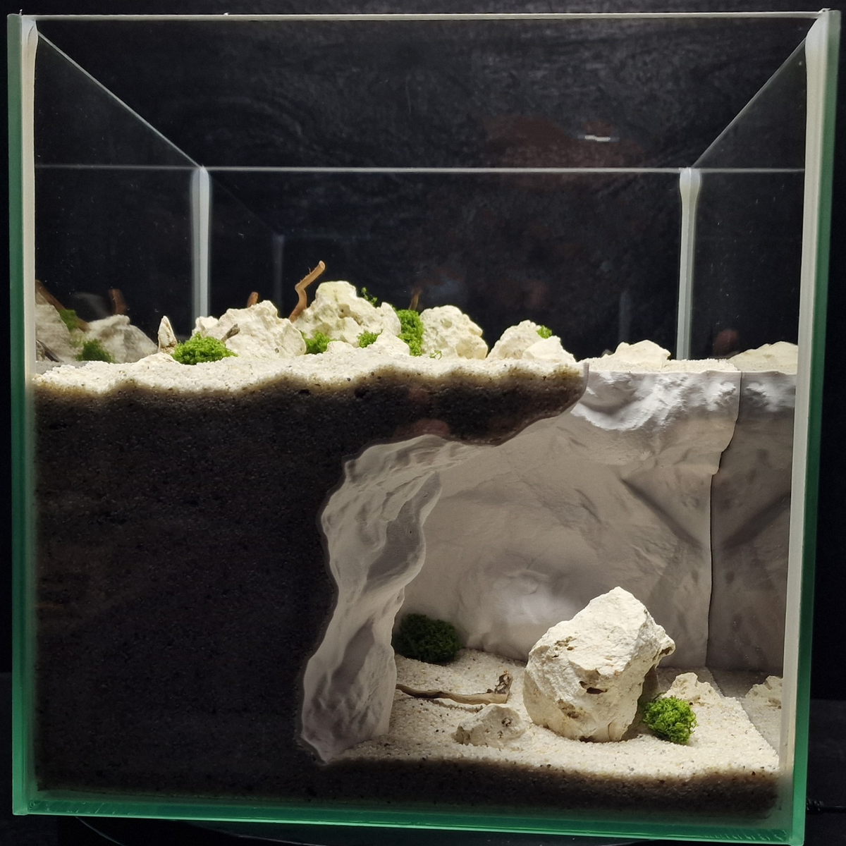 Cave 16 aquarium habitat view 2