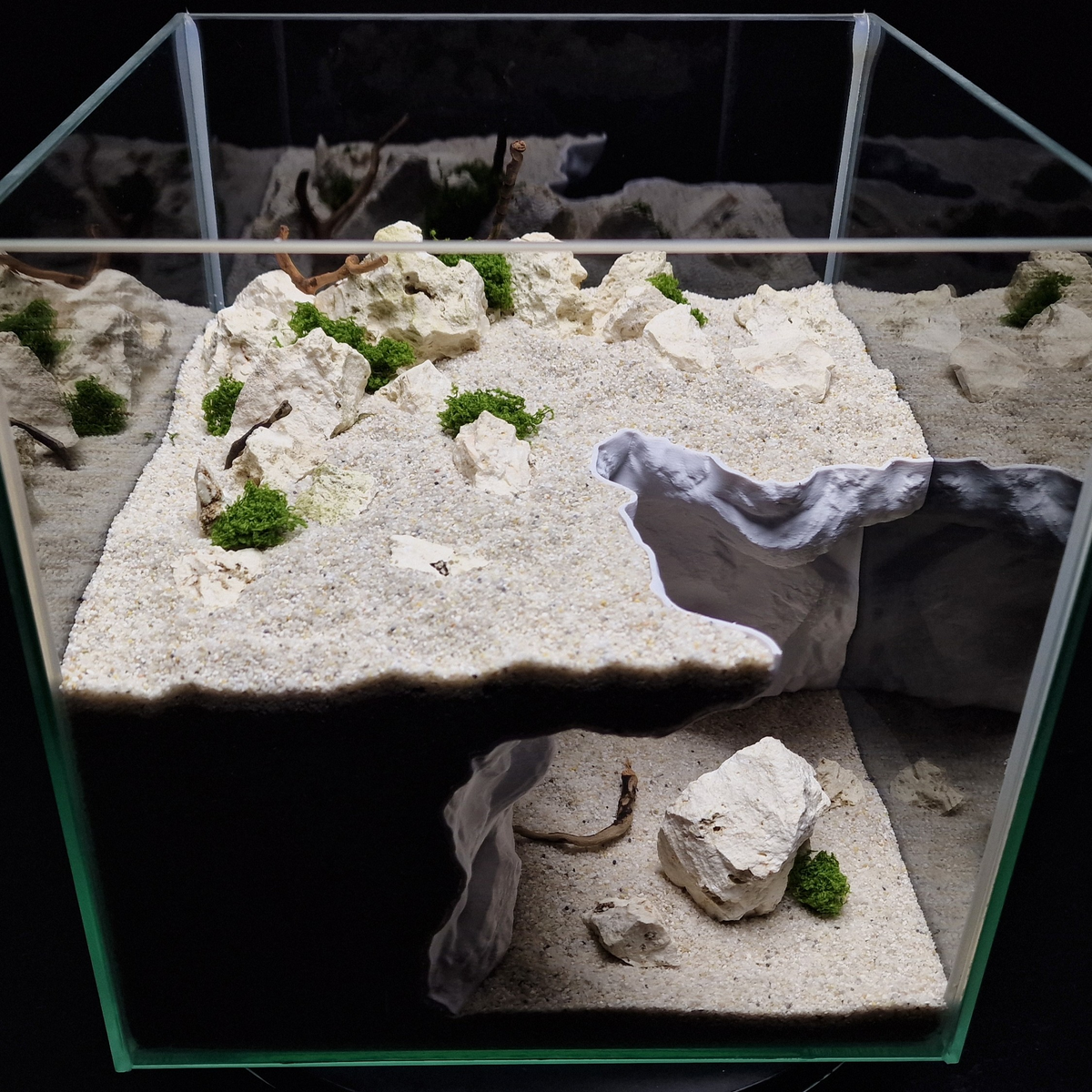 Cave 16 aquarium habitat view 3