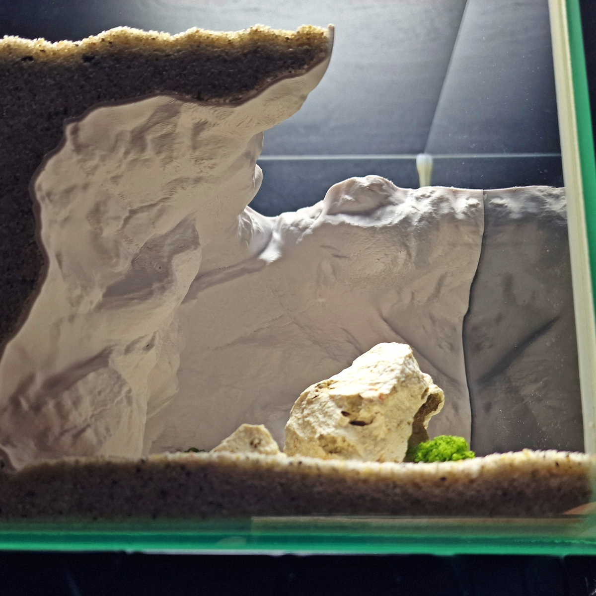 Cave 16 aquarium habitat view 5