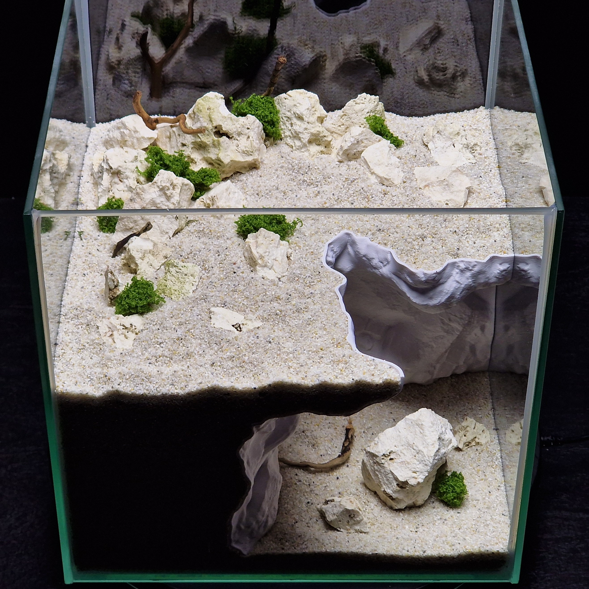 Cave 16 aquarium habitat view 7