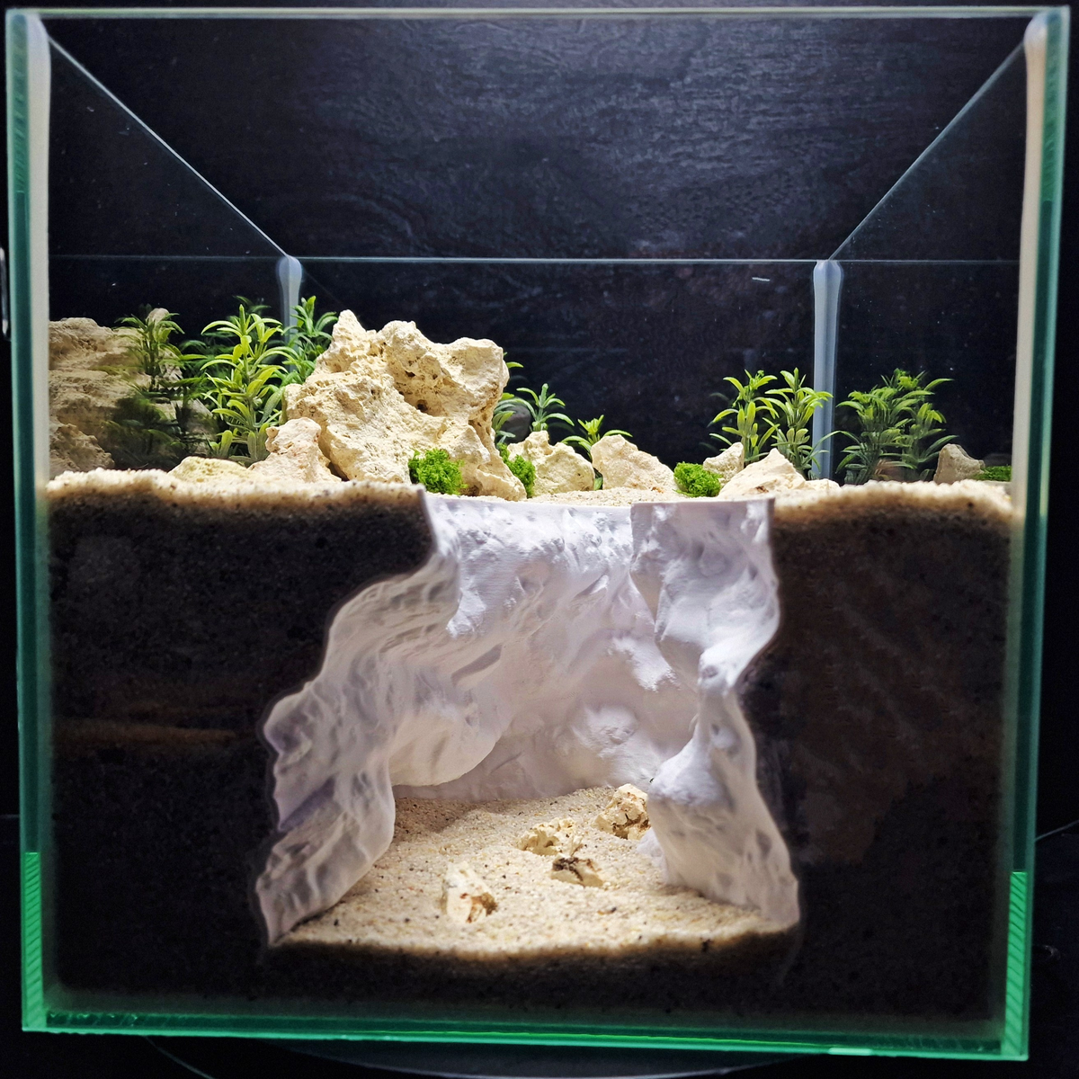 Cave 18 aquarium habitat view 2
