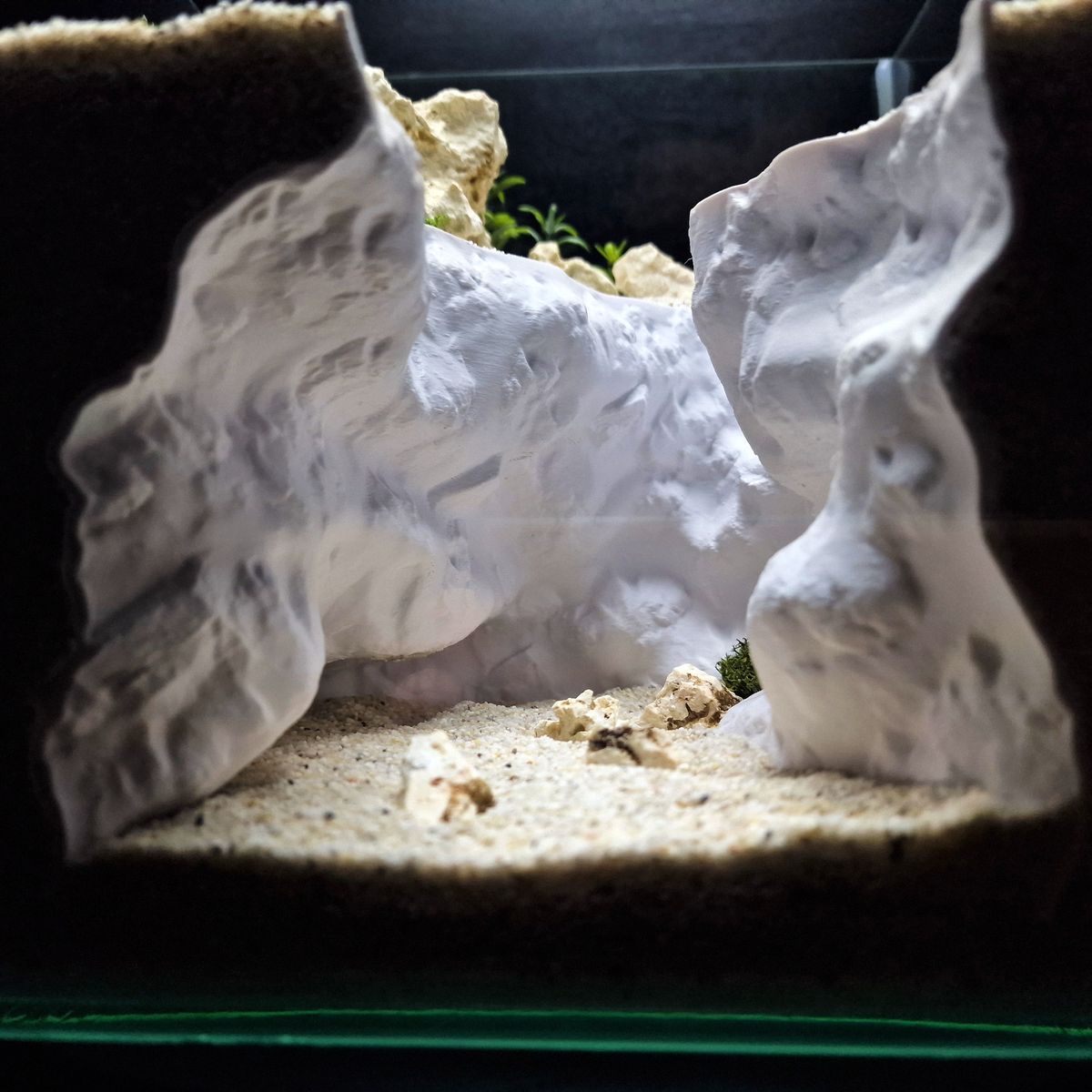 Cave 18 aquarium habitat view 4