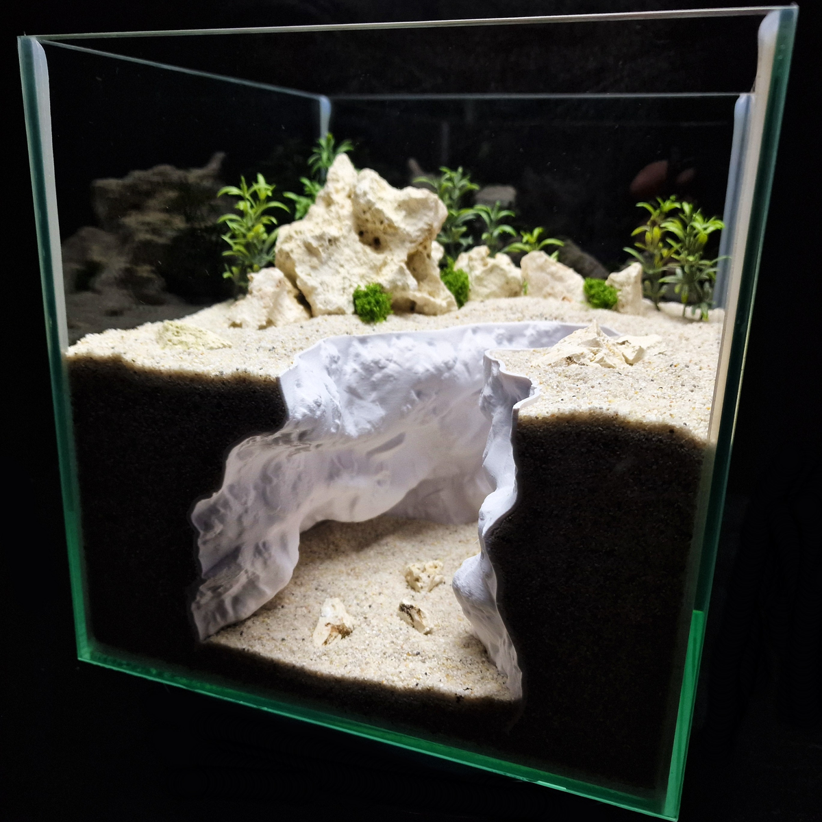 Cave 18 aquarium habitat view 9