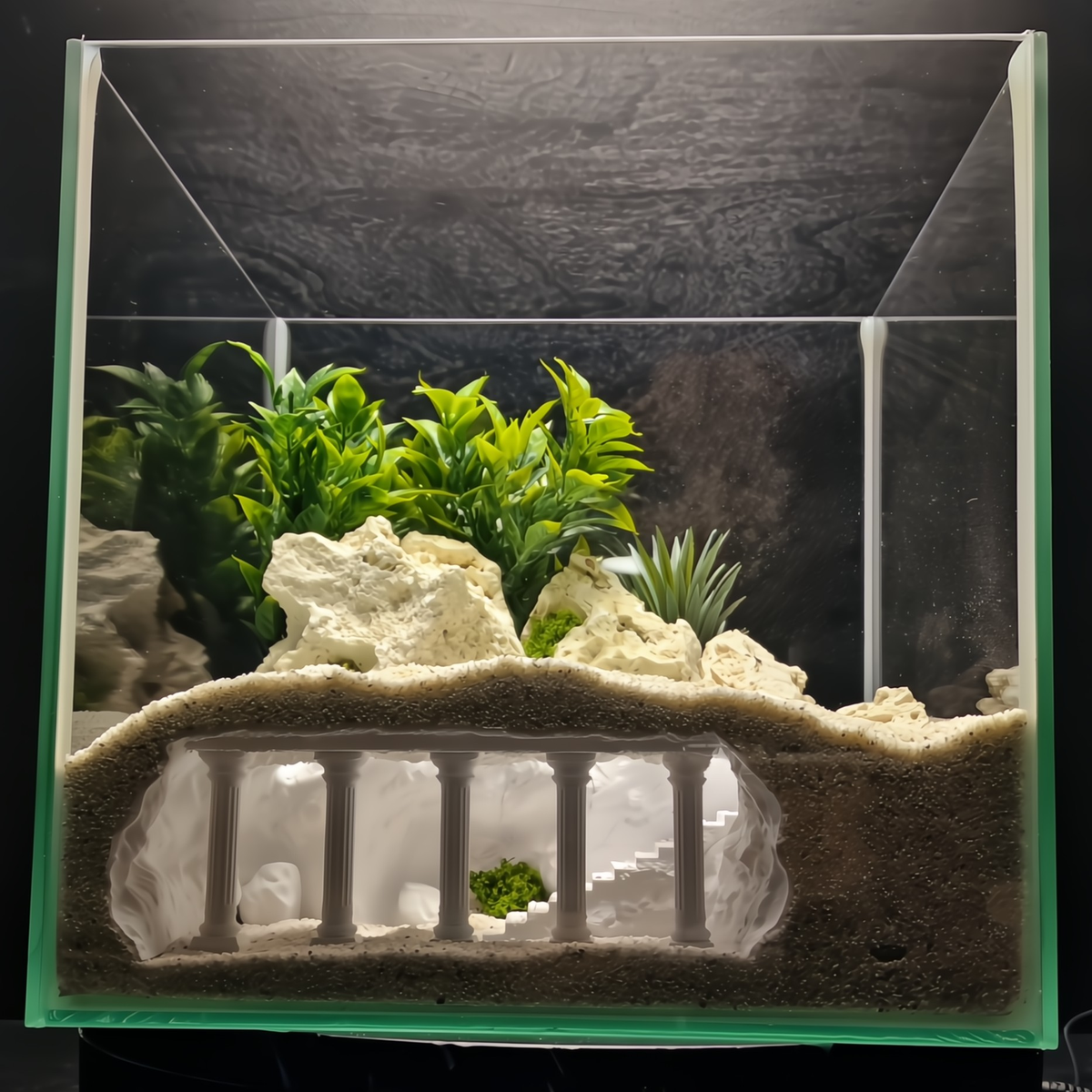 Cave 19 aquarium habitat view 2