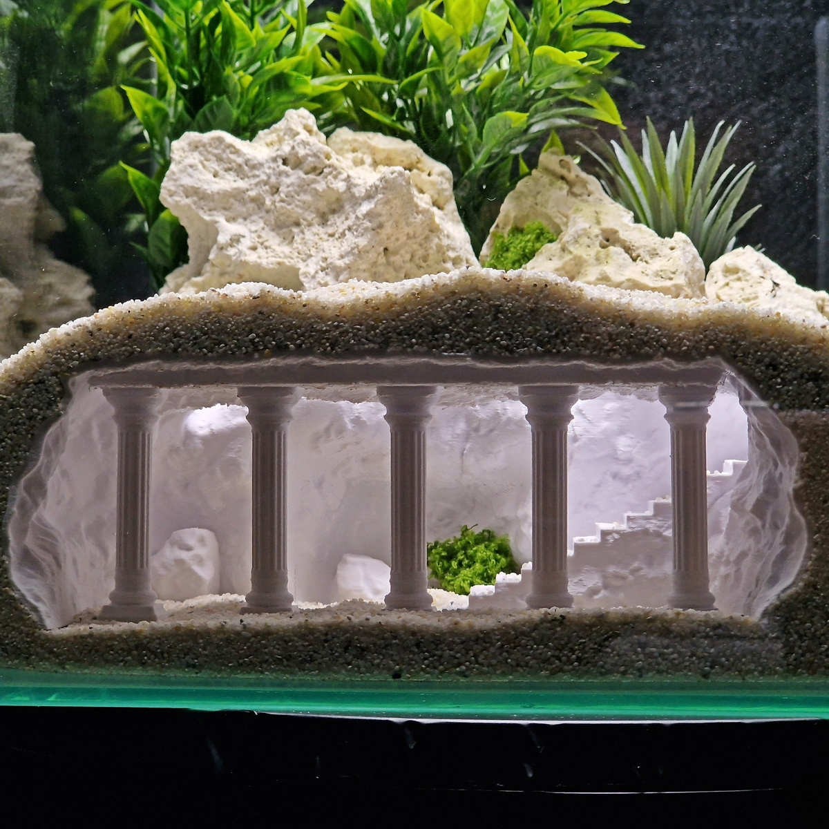 Cave 19 aquarium habitat view 5