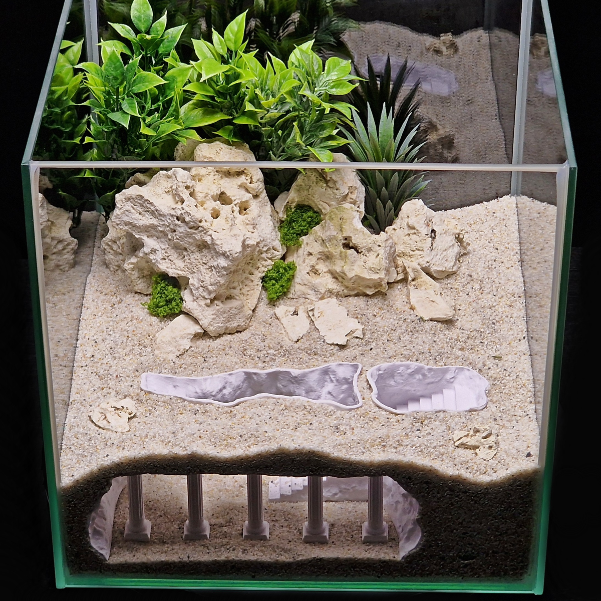 Cave 19 aquarium habitat view 6