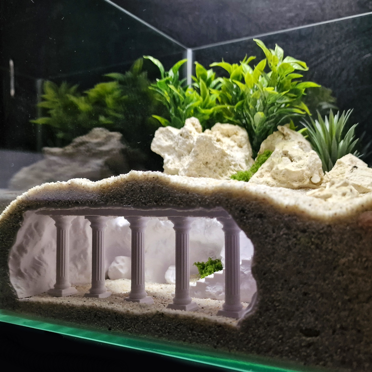 Cave 19 aquarium habitat view 9