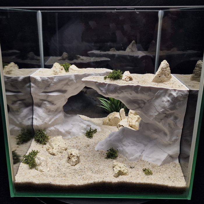 Cave 21 aquarium habitat view 4
