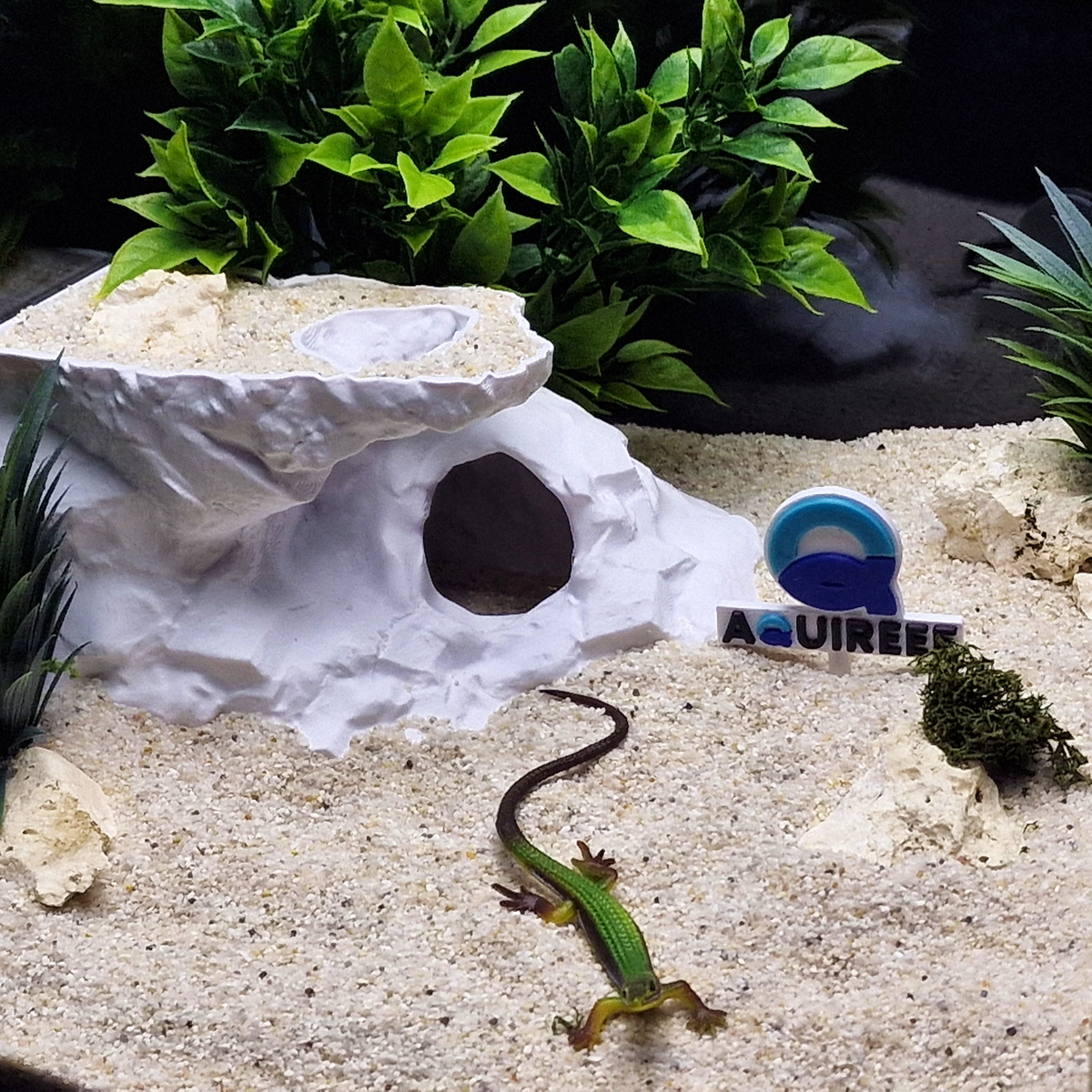 Cave 23 aquarium habitat view 4