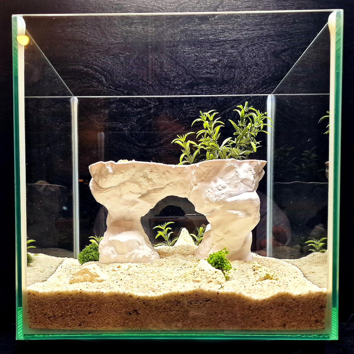 Cave 24 aquarium habitat view 2