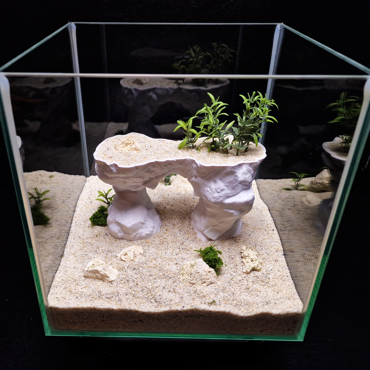 Cave 24 aquarium habitat view 3