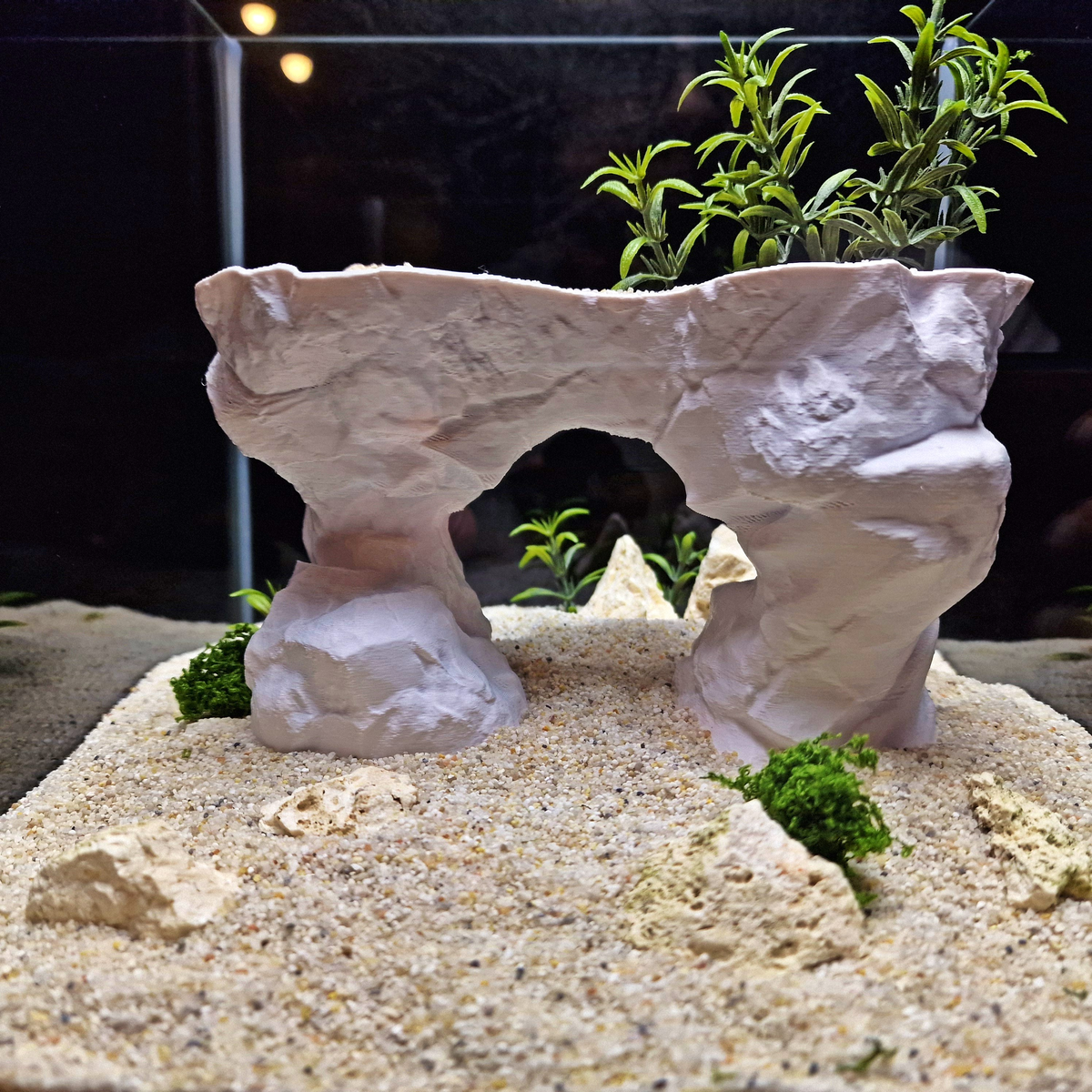 Cave 24 aquarium habitat view 6