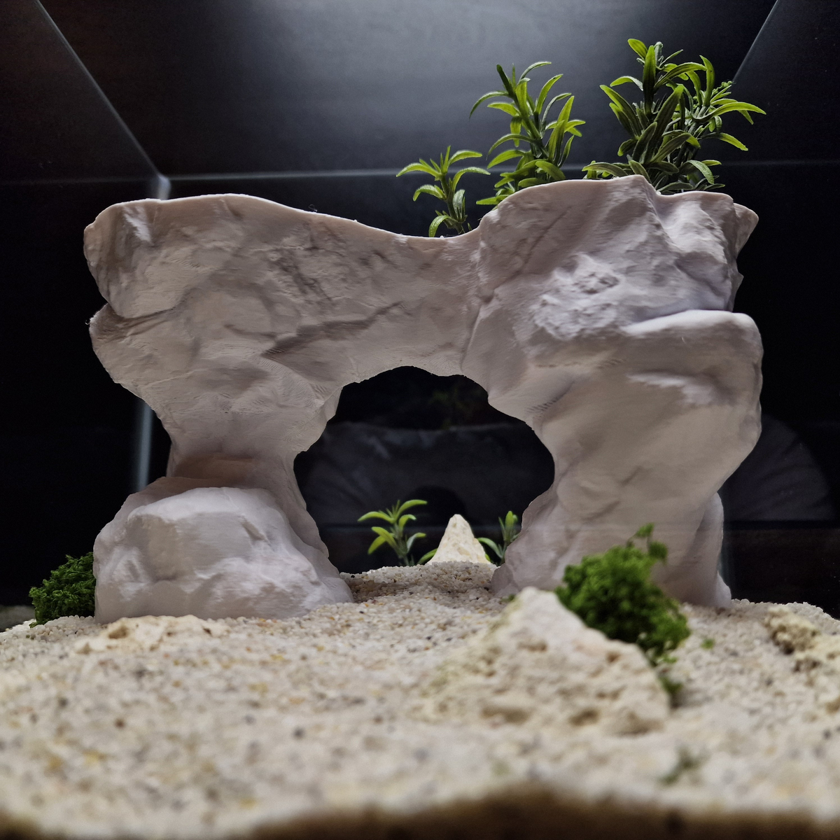 Cave 24 aquarium habitat view 7