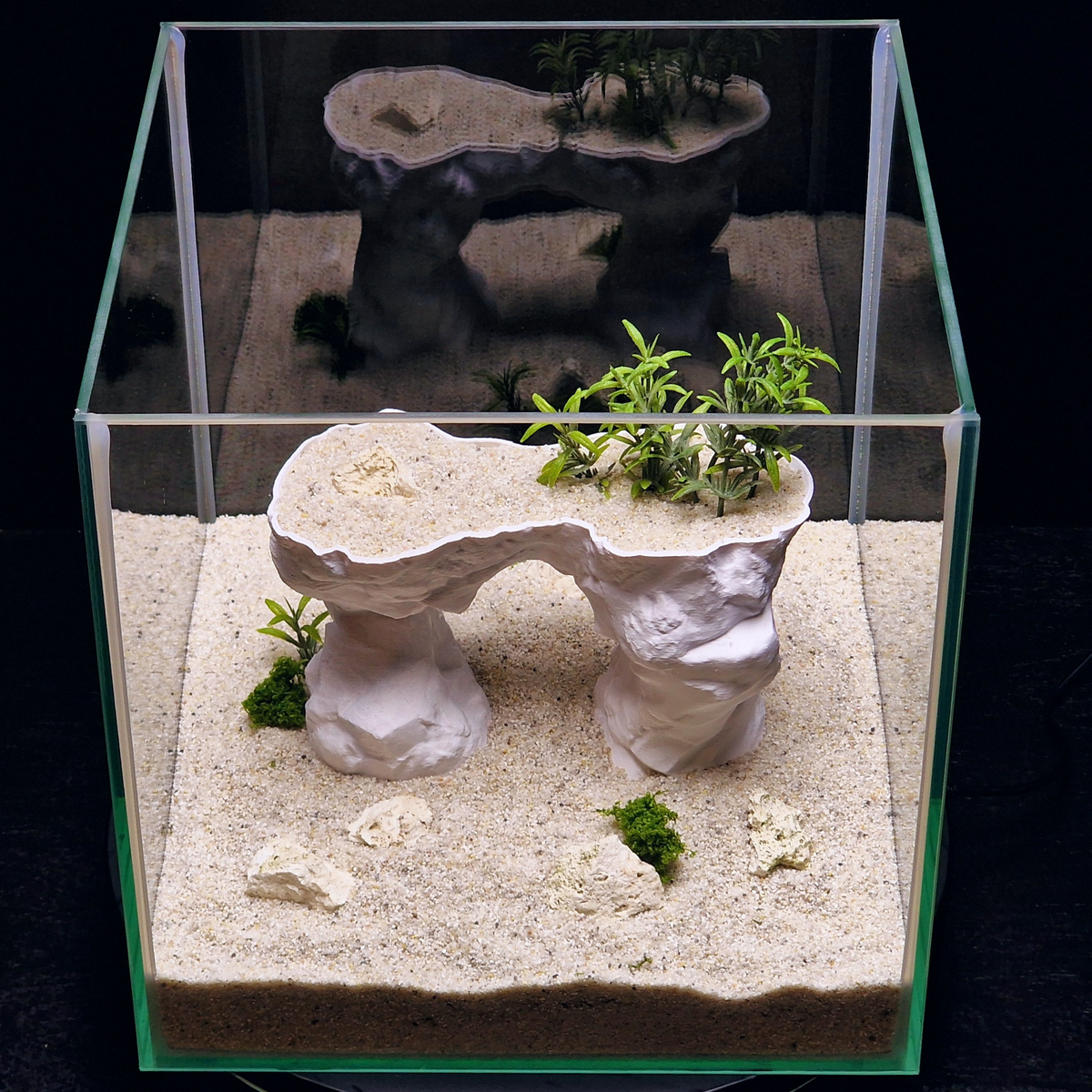 Cave 24 aquarium habitat view 9