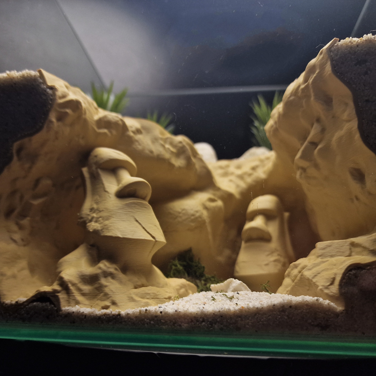 Cave 27 aquarium habitat view 9