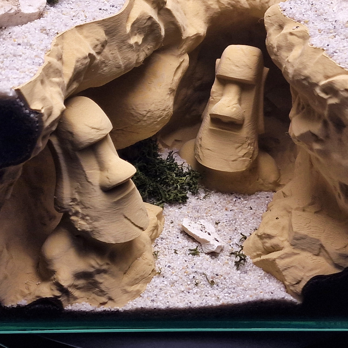 Cave 27 aquarium habitat view 10