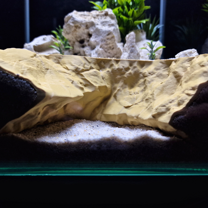 Cave 29 aquarium habitat view 4