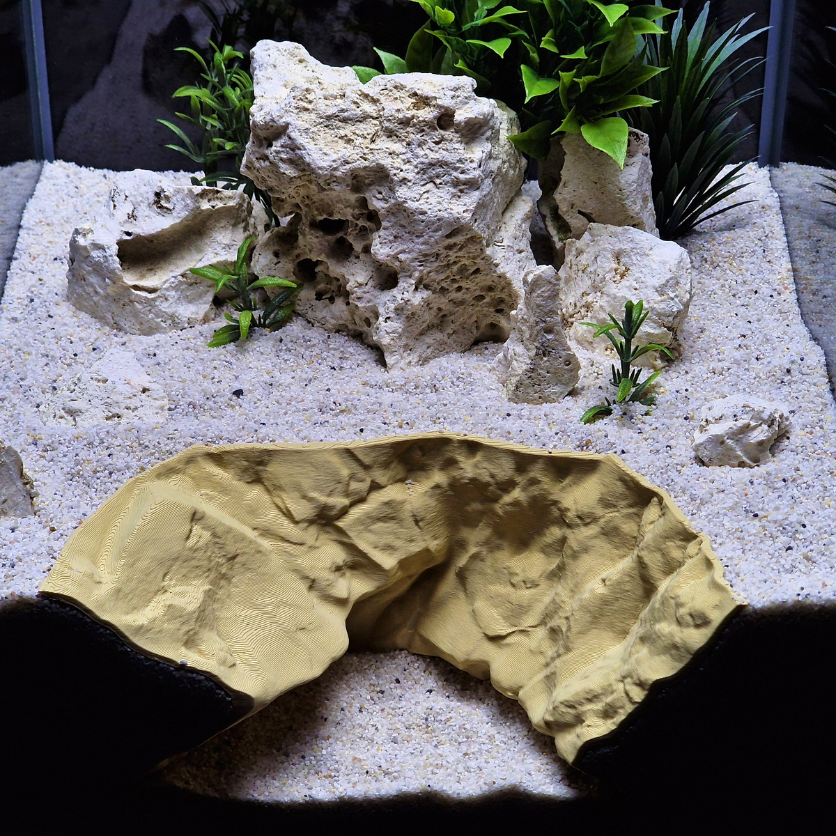 Cave 29 aquarium habitat view 8